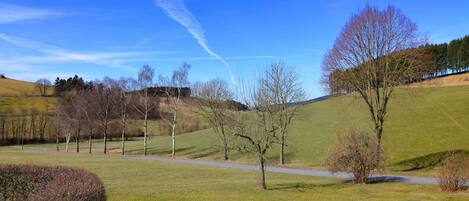 Ein grasbewachsenes Feld mit einem Pfad, Bäumen und einer Erhebung im Hintergrund.