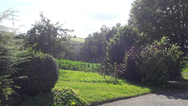 A paved pathway in a park with green grass and bushes. - Modern Apartment in Sellinghausen With Terrace (Schmallenberg)