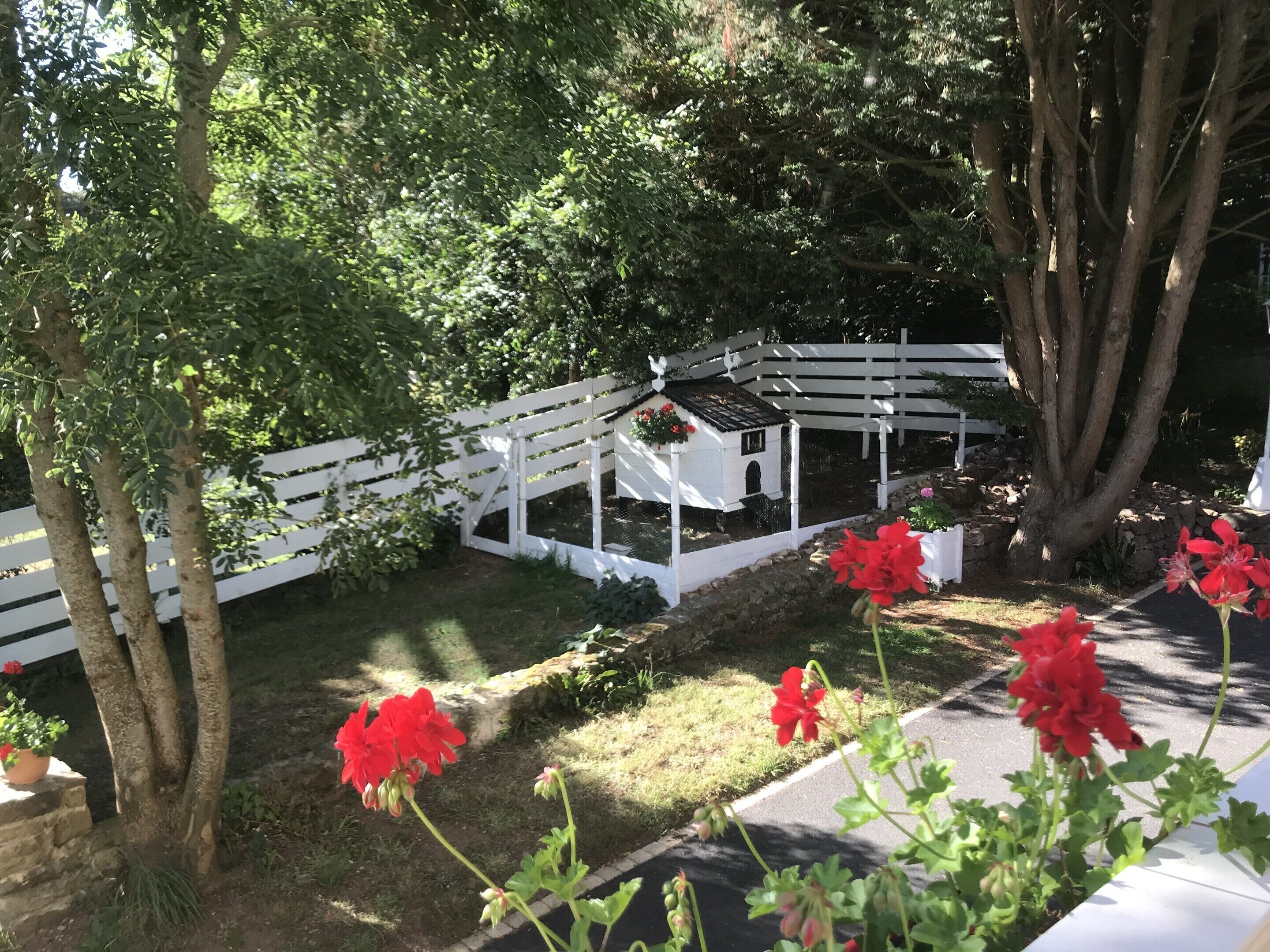 House | Property grounds