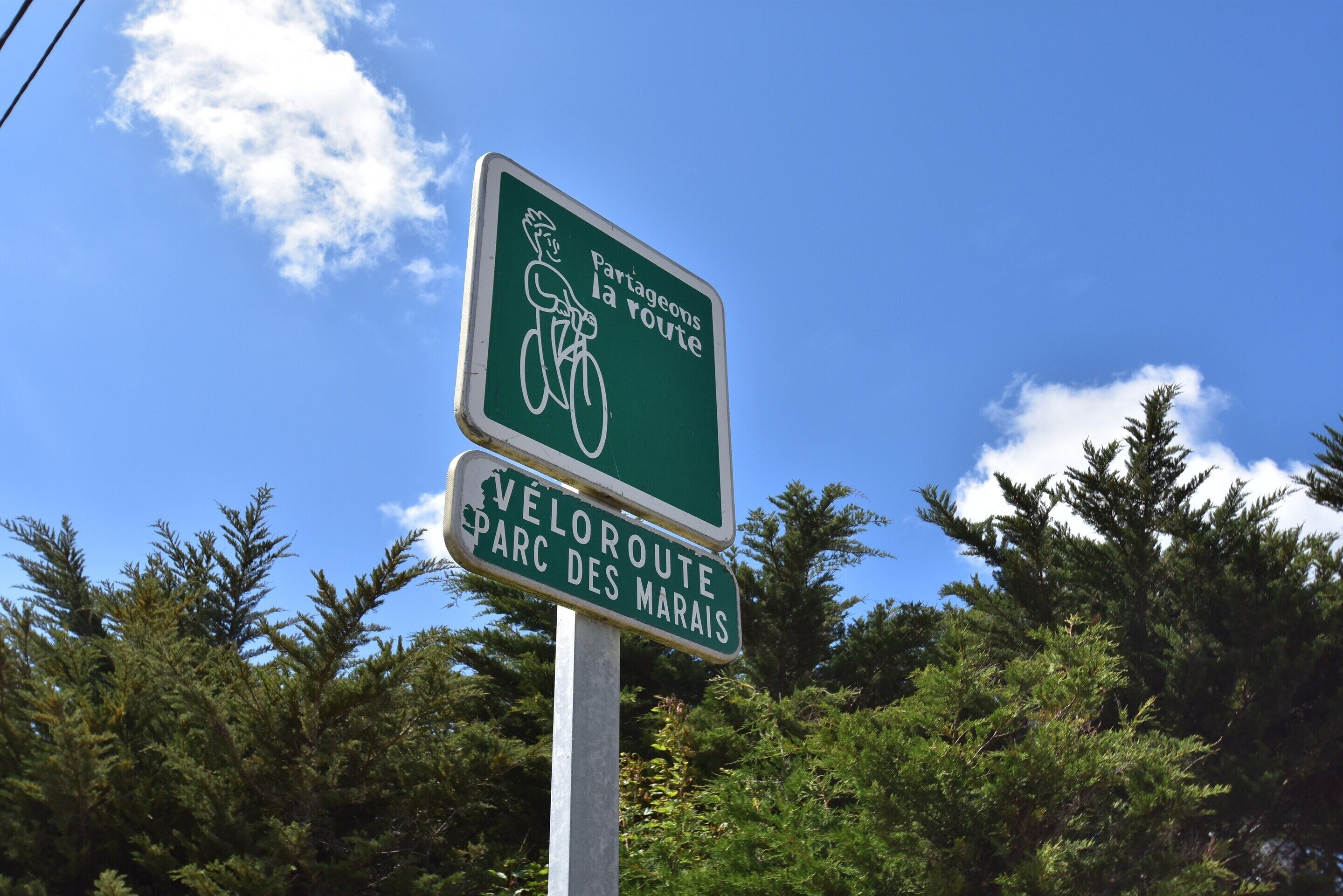A sign with a bicycle symbol and text indicating a shared route.
