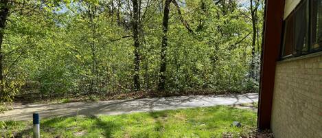 House | View from property