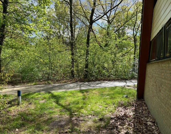 Vista desde la propiedad