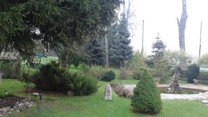 Un jardin bien entretenu, agrémenté de divers arbustes, d’une structure en pierre et d’un petit étang.