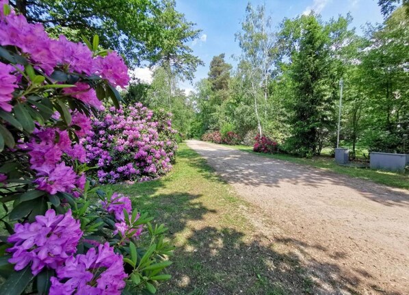 House | View from property