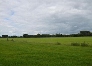 House | View from property