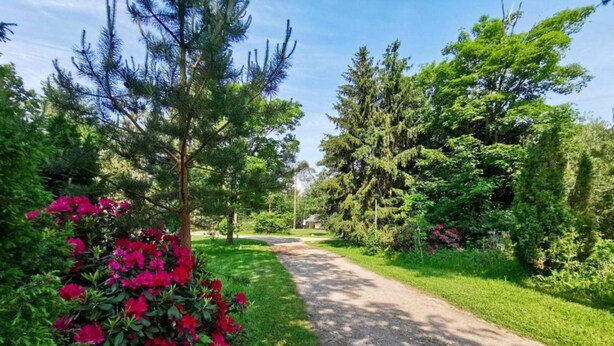 Ein gepflasterter Weg, umgeben von üppiger Vegetation und Bäumen.