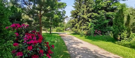 Maison | Vue depuis l’hébergement