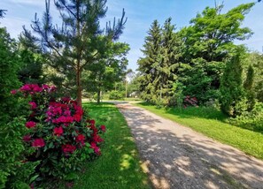 House | View from property