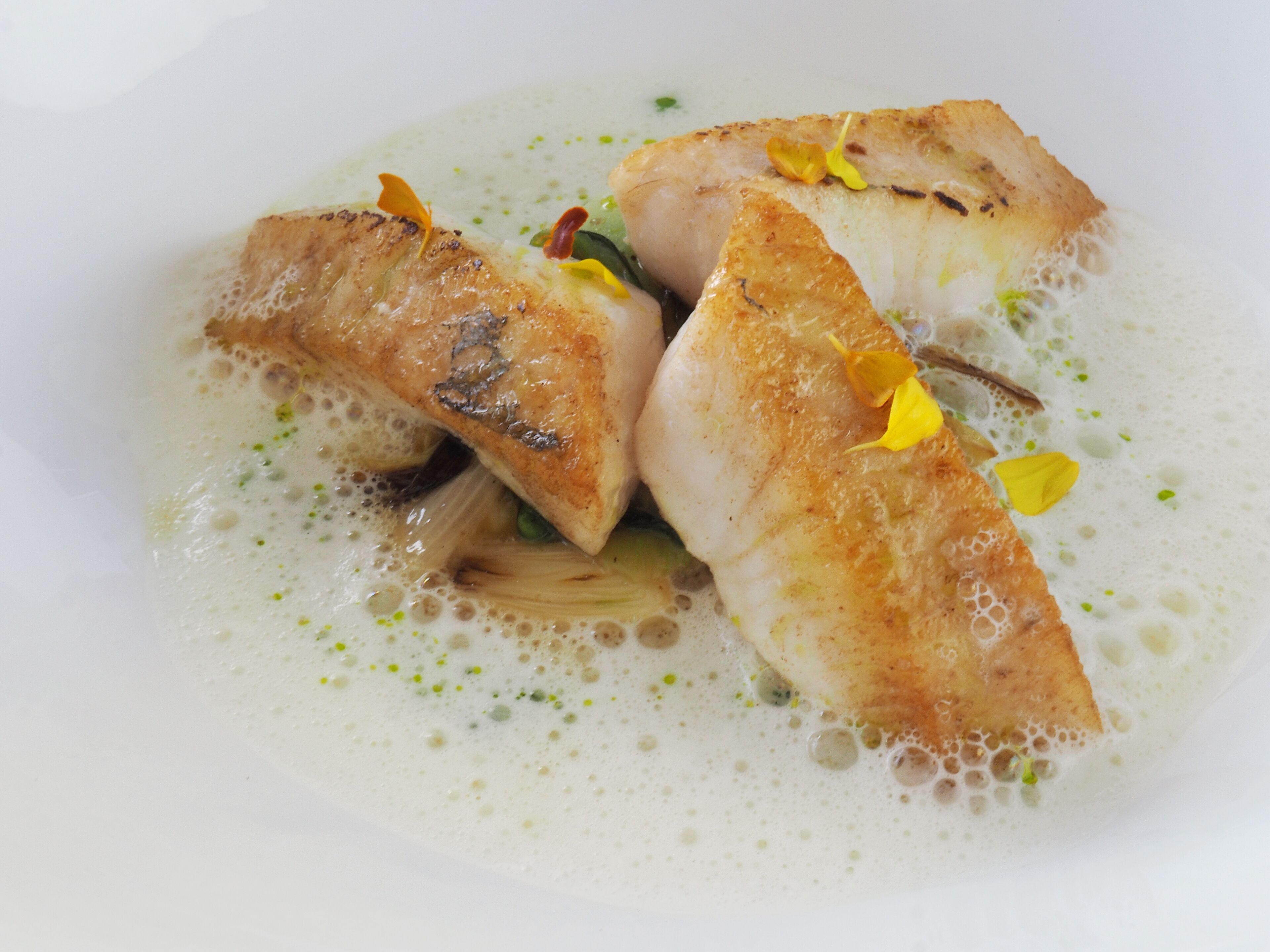 Un plato de pescado y verduras en salsa cremosa.