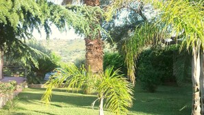 A lush garden with a variety of trees and a well-maintained lawn. - Belvilla by OYO Holiday Home in Caltagirone (Caltagirone)