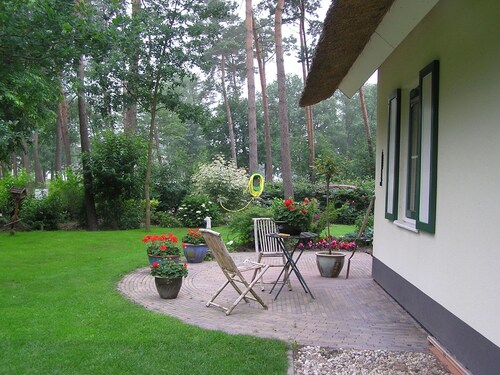 Detached Cottage With a Thatched Roof, Large Garden, Sallandse Heuvelrug