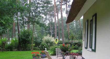 Detached Cottage With a Thatched Roof, Large Garden, Sallandse Heuvelrug