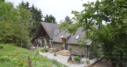 Cozy Apartment in Immerath near Fishing