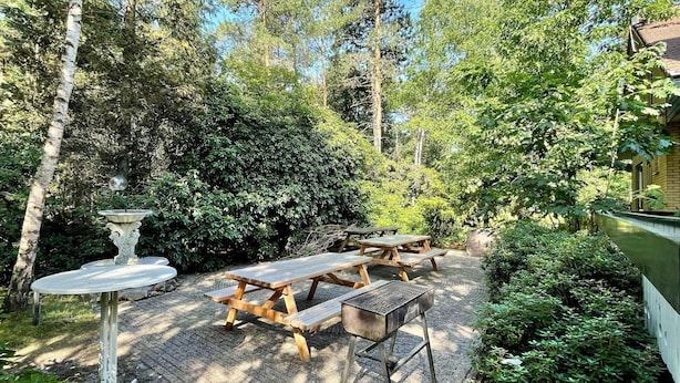 Un área de patio al aire libre con mesas de picnic y una fuente decorativa, rodeada de abundante vegetación y árboles.