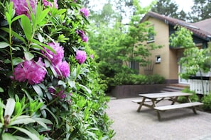 Villa | Garden
