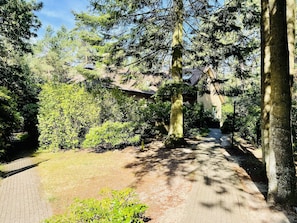 Villa | Exterior - Villa in Doornspijk Near Forest and Lake (Doornspijk)