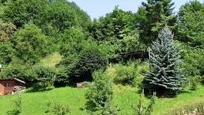 Ländliche Landschaft mit einem Haus, grünen Feldern und Bäumen.