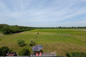 House | View from property