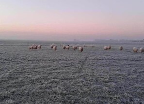 獨棟房屋 | 住宿景觀