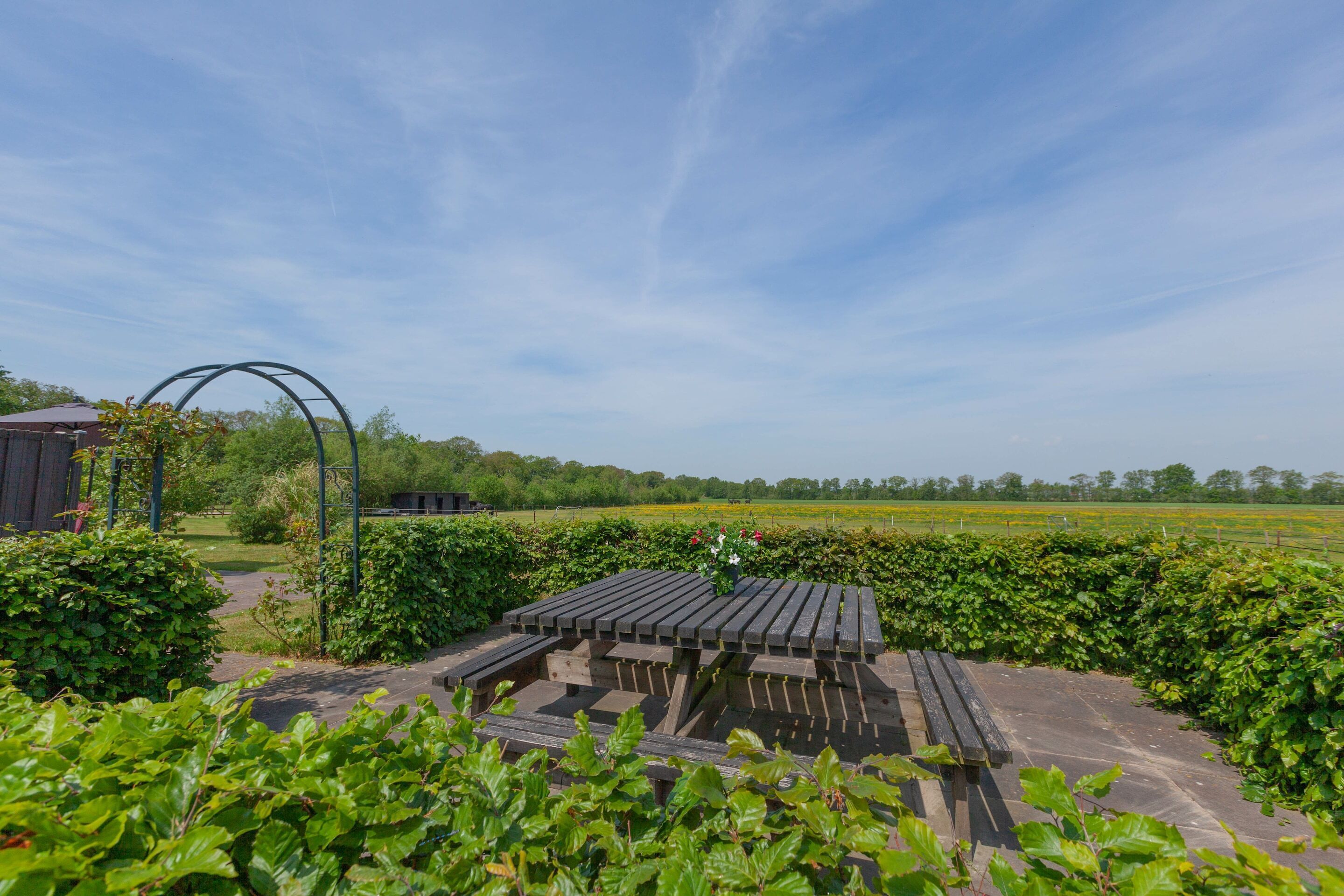 A garden with a wooden bench and a metal archway.