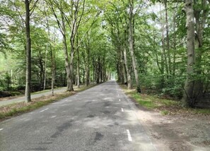 獨棟房屋 | 住宿景觀