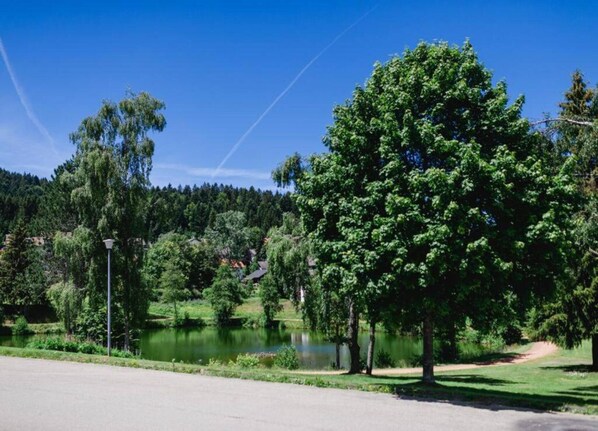 Stroll along the lake's edge, surrounded by lush greenery and tranquil trees.