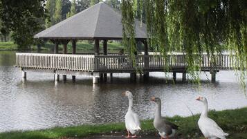 Vue depuis lâhĂ©bergement