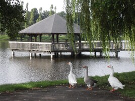 Apartment | View from property
