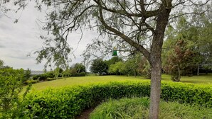 A well-maintained garden with a hedge, a tree, and a grassy area. - Holiday Home in Peaceful Setting and Large Garden (Rendeux)