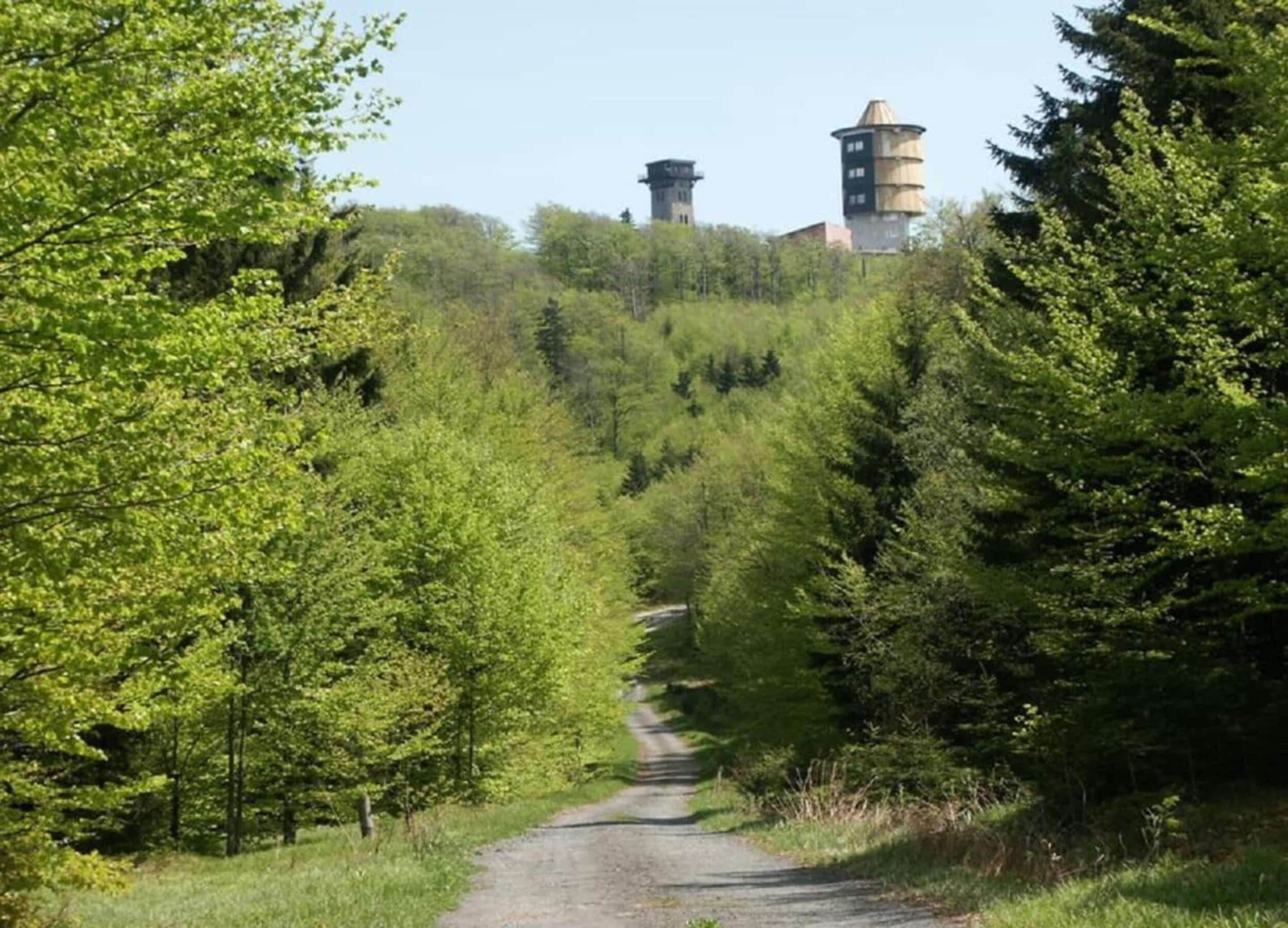 A dirt path leading through a forested area with two towers in the background.