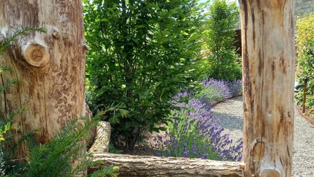 Un jardin avec un arbre au centre, entouré de différentes plantes et fleurs.