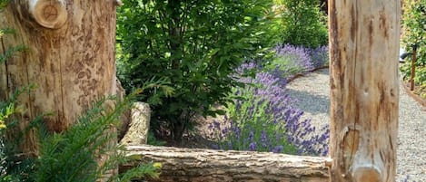 อพาร์ทเมนท์ | วิวจากที่พัก