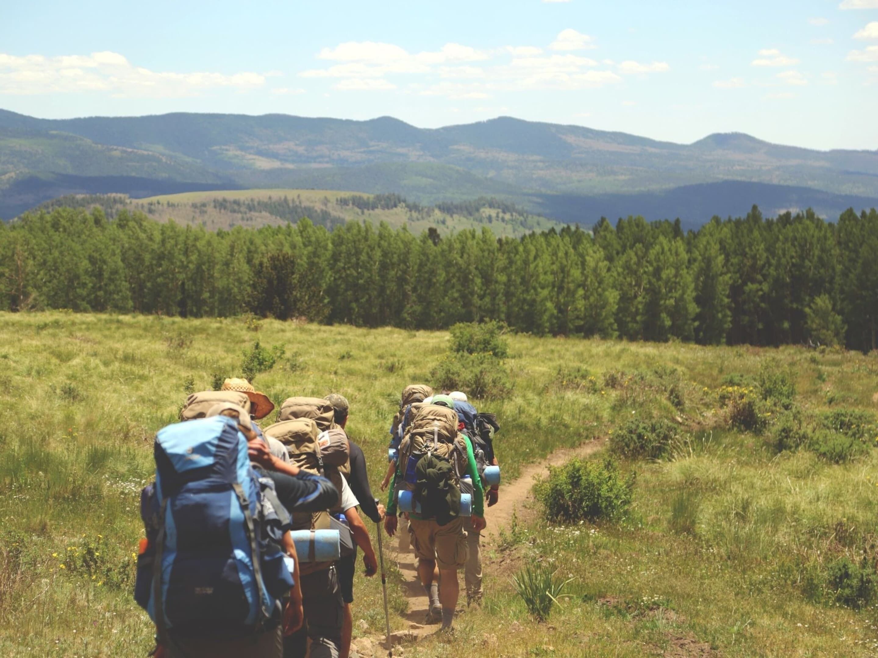 Un groupe de randonneurs sur un sentier de terre, entouré de verdure et de montagnes.