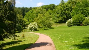 Un sendero pavimentado en un parque con césped verde exuberante y árboles.