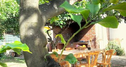Detached House Near the sea With Garden and Terrace
