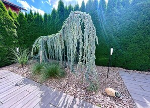 Apartment | View from property