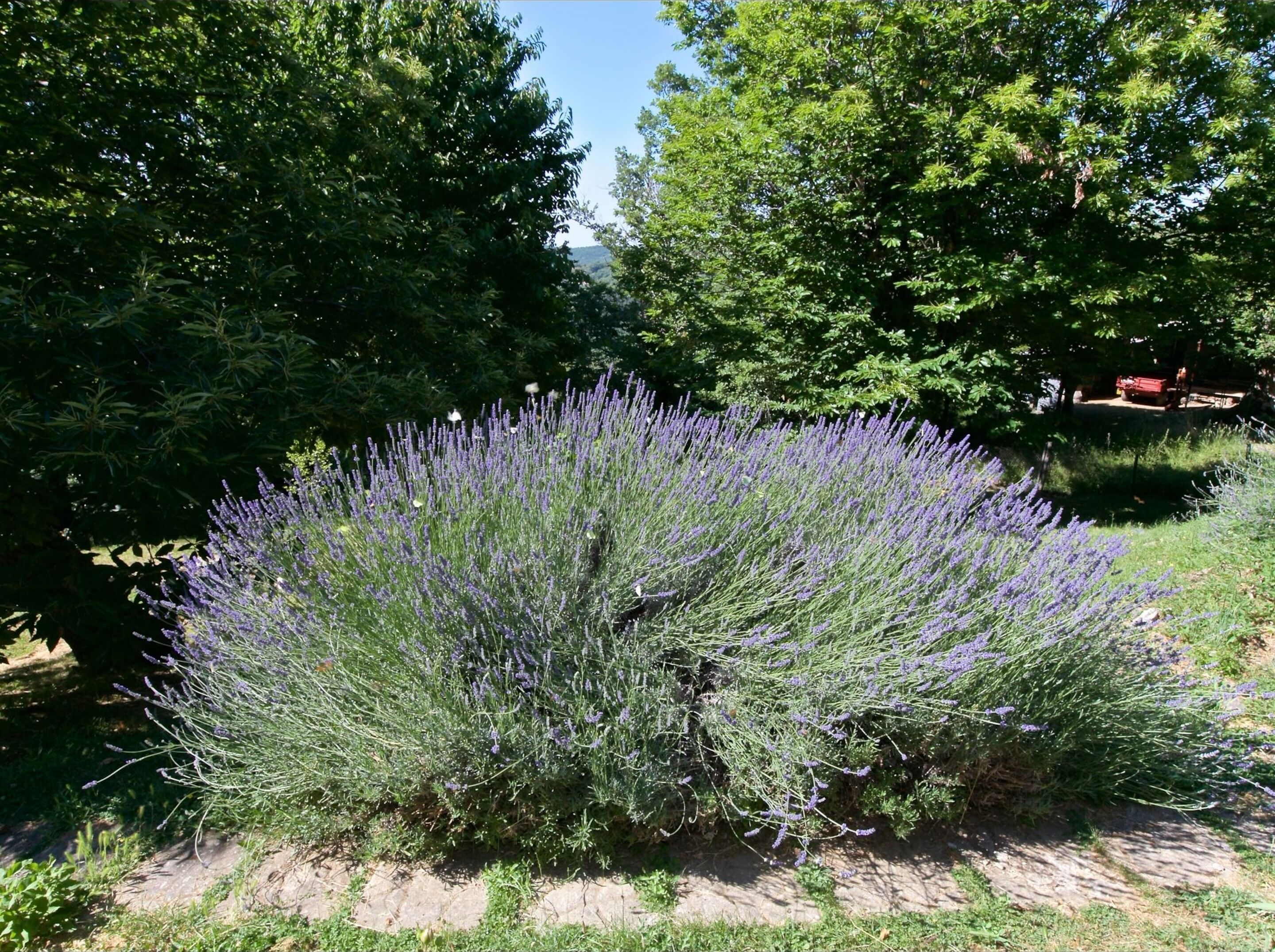 Casa de campo | Exterior