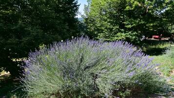 Casa de campo | Exterior