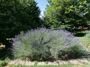 Házikó | Külső rész