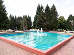 Pool - Cozy Apartment in Altenau Harz near Ski Area Hahnenklee (Clausthal-Zellerfeld)
