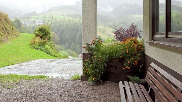Apartment | Garden - Apartment With Garden (Bad Peterstal-Griesbach)