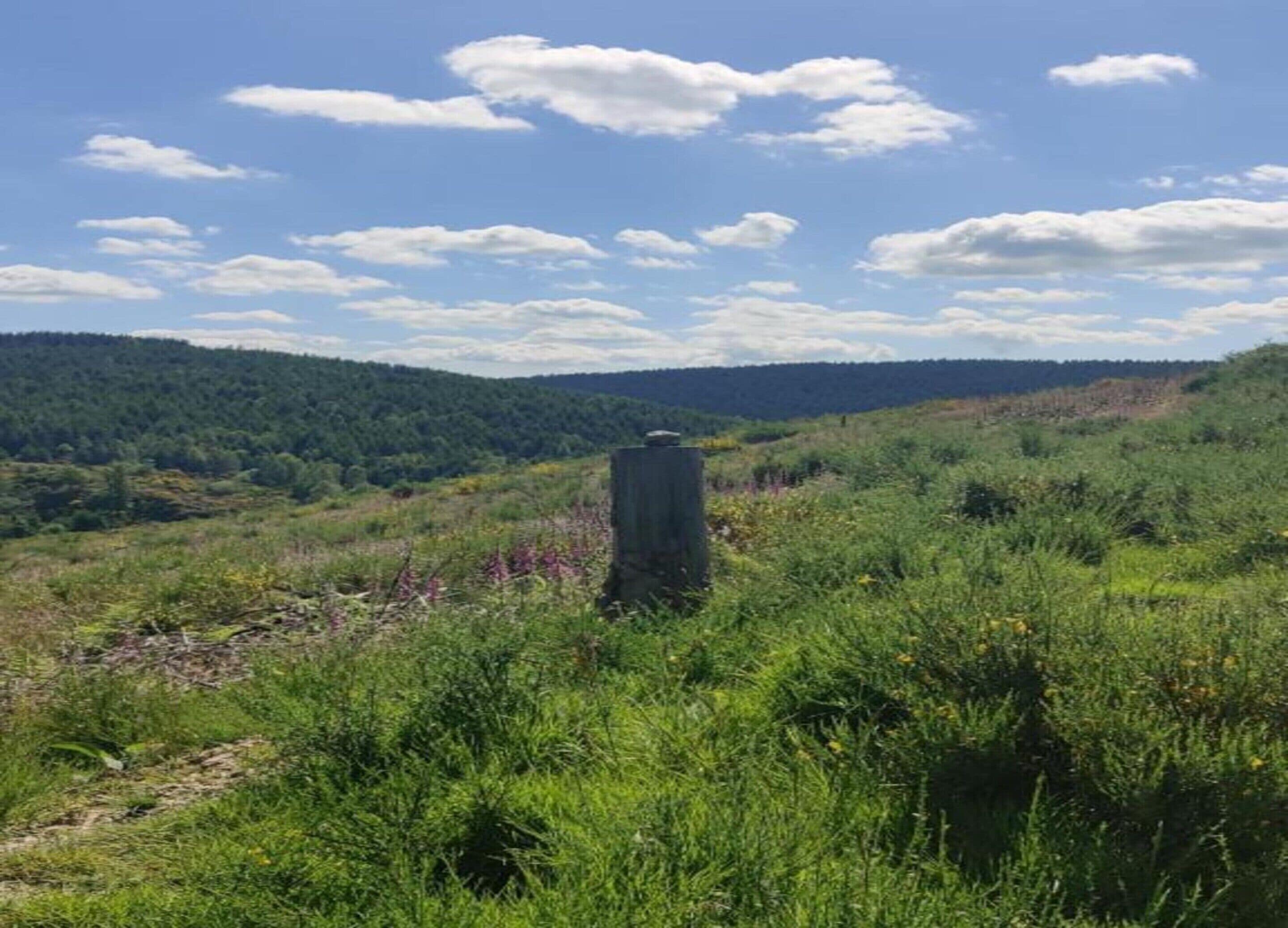 A natural landscape with a prominent rock formation in the foreground, a forested hill in the background, and a clear sky.