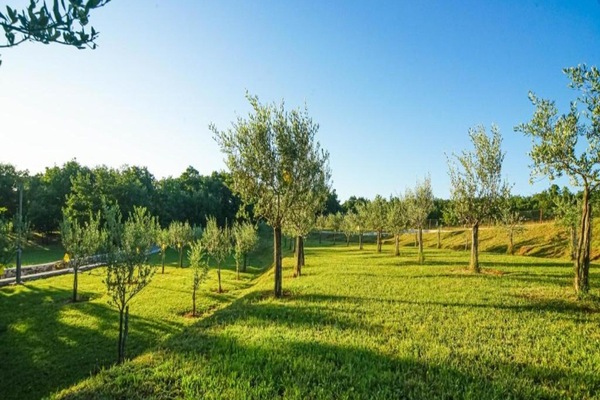 Leilighet | Utsikt fra overnattingsstedet