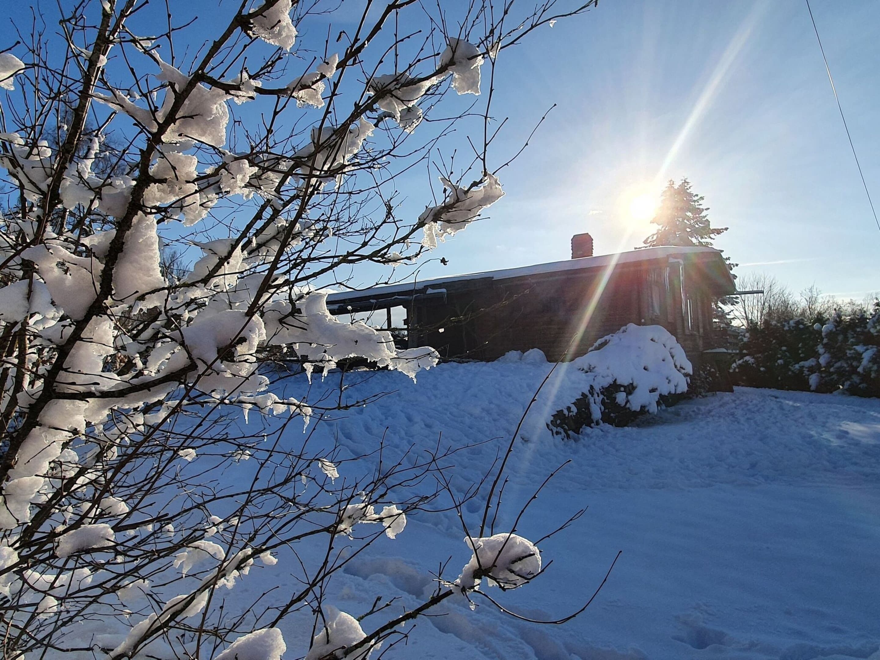 A snow-covered landscape with bare trees and a building in the background.