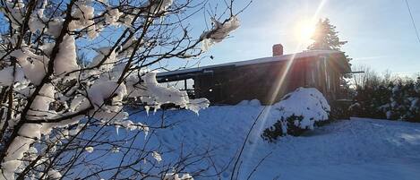 A snow-covered landscape with bare trees and a building in the background.