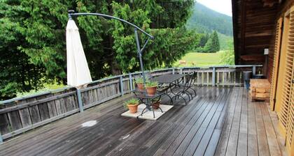 Cozy Chalet Near Ski Area in Stall