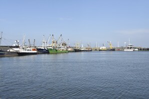 View from property - Apartment in Hippolytushoef for 2 Guest (Hippolytushoef)