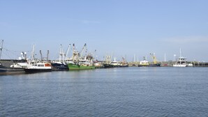 A marina with multiple boats docked, cranes, and a clear sky. - Apartment in Hippolytushoef for 2 Guest (Hippolytushoef)