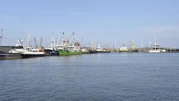 Apartment | View from property
