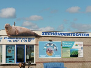 Apartment | View from property - Apartment in Hippolytushoef for 2 Guest (Hippolytushoef)